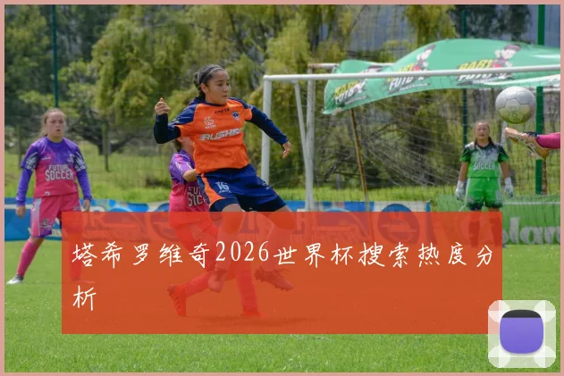 塔希罗维奇2026世界杯搜索热度分析