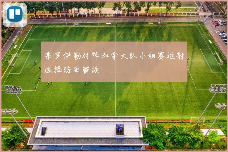 弗罗伊勒对阵加拿大队小组赛远射选择赔率解读