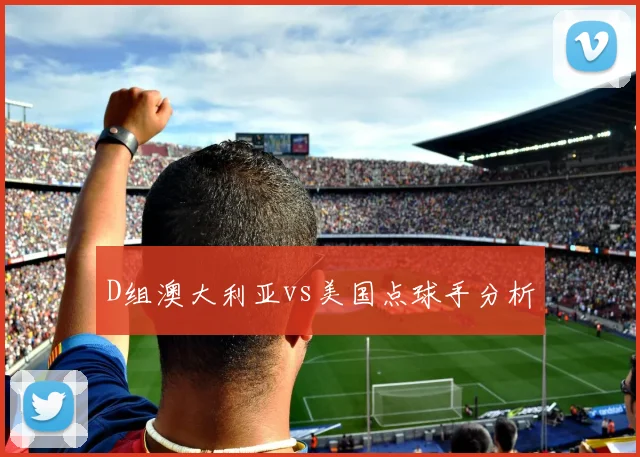 D组澳大利亚vs美国点球手分析