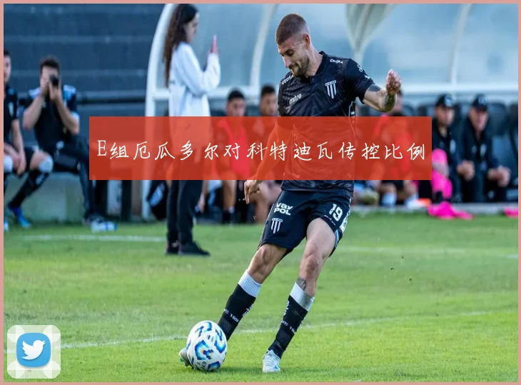 E组厄瓜多尔对科特迪瓦传控比例