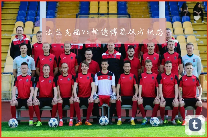 法兰克福vs帕德博恩双方状态