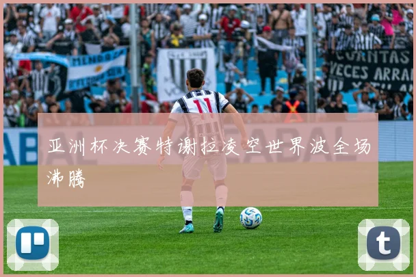 亚洲杯决赛特谢拉凌空世界波全场沸腾