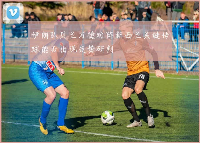 伊朗队贝兰万德对阵新西兰关键传球能否出现走势研判